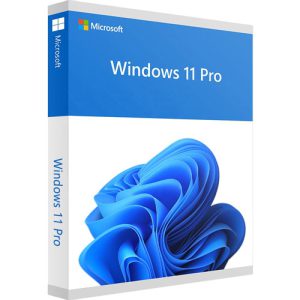 Windows 11 Pro 64-bit All Lng PK Lic Online DwnLd NR FQC-10572